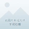 两两相望不相忘