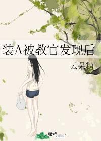 装a后我被校草标记了简介