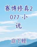 赛博修真2077 小说