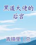 黑道大佬的后宫小说影视剧