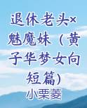退休老头×魅魔妹（黄子华梦女向短篇）推荐小说