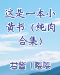 这是一本小黄书（纯肉合集）