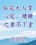 探花大人掌心宠，糟糠之妻不下堂完结小说