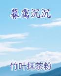 暮霭沉沉完结小说