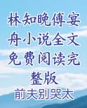林知晚傅宴舟小说全文免费阅读完整版