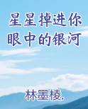 星星掉进你眼中的银河