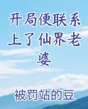 开局便联系上了仙界老婆