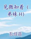 见微知著免费阅读