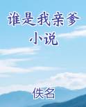 谁是我亲爹小说