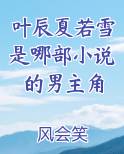 叶辰夏若雪是哪部小说的男主角